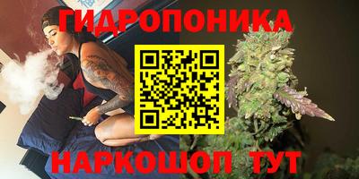 таблы Гай