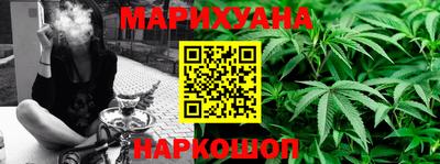 МДПВ Гатчина