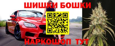 МДПВ Гатчина