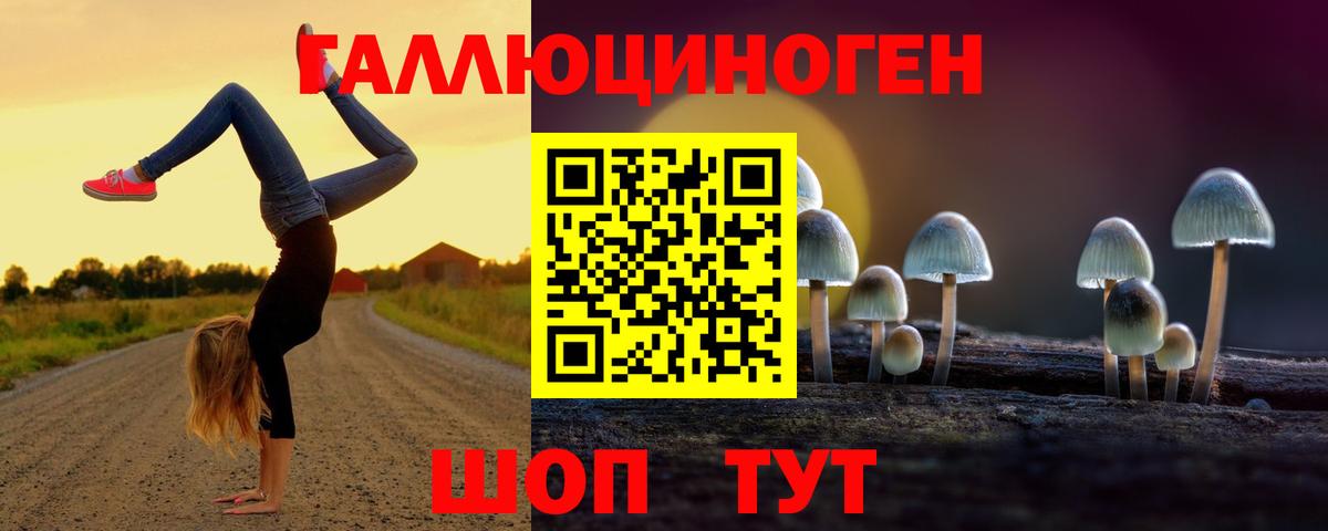 Псилоцибиновые грибы Magic Shrooms Выборг