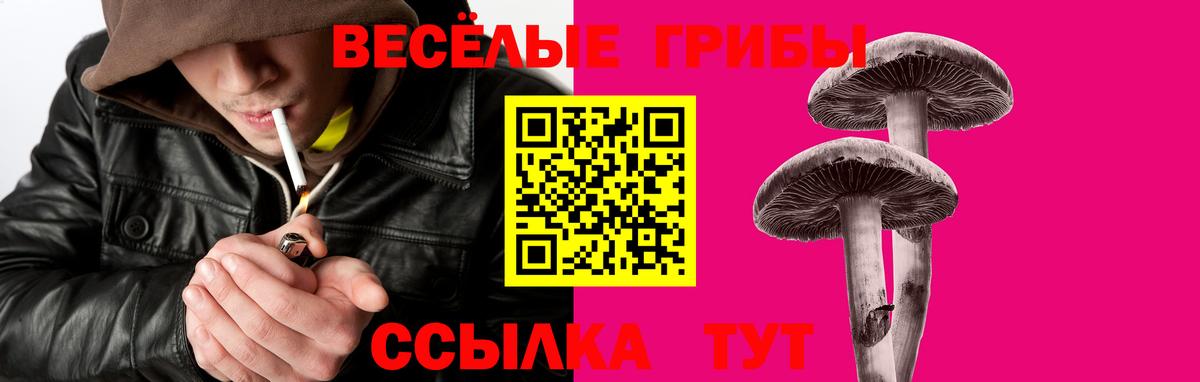 Выборг  Псилоцибиновые грибы Psilocybine cubensis  Псилоцибиновые грибы GOLDEN TEACHER  Вход с VPN 