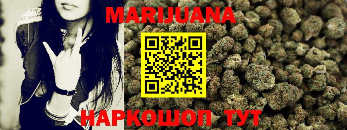 Конопля план Выборг